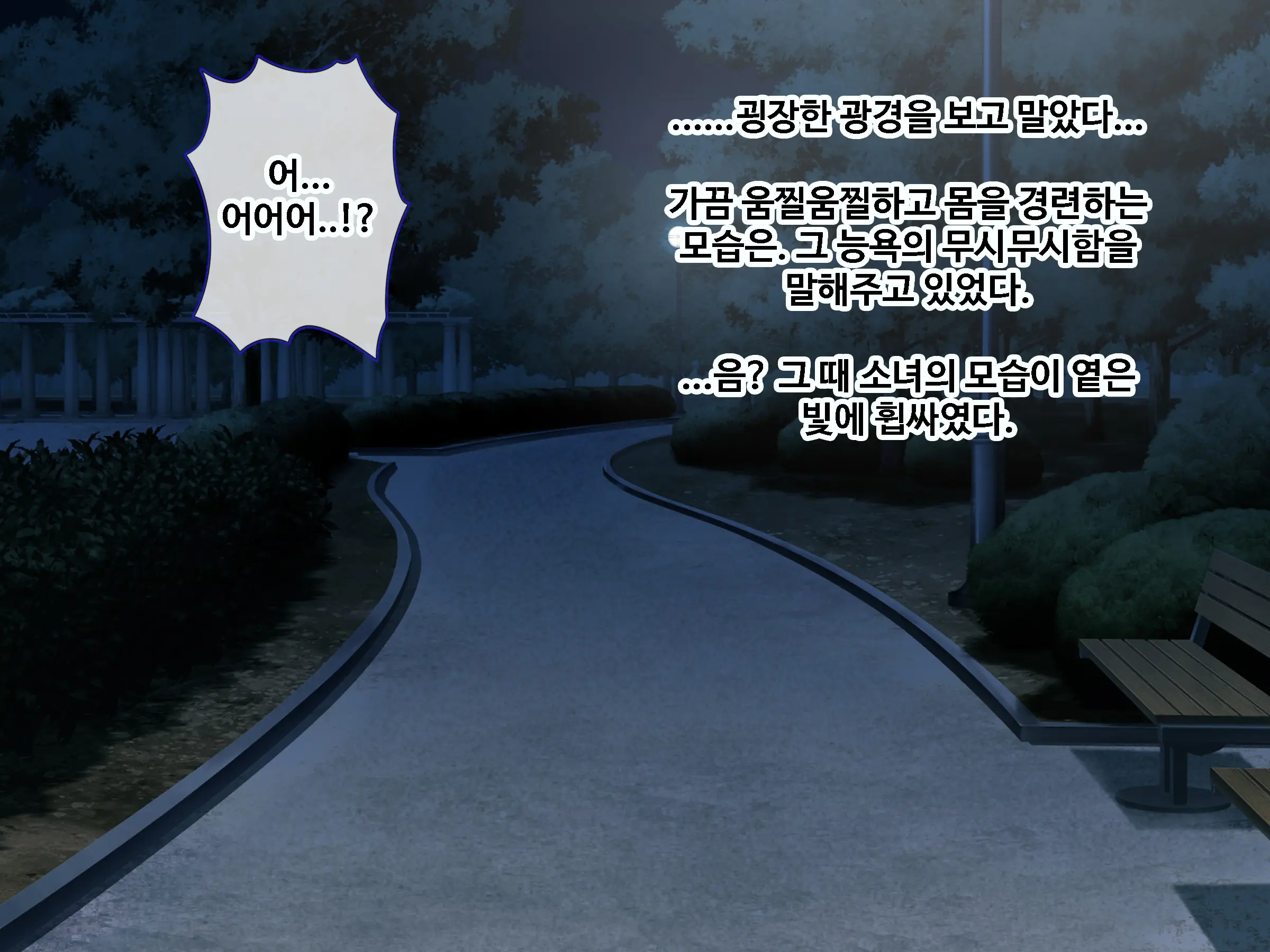 Ore To Taishouteki Na Jinsei O Ayumu Mijika Na Futari No Yowami O Nigiri W Henshin Heroine Ni Sukinadake Tanetsuke Nakadashi Suru Hibi | 나와 대조적인 인생을 걷는 두사람의 약점을 쥐고 변신히로인을 원하는만큼 씨받이 질내사정하는 나날